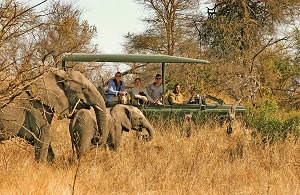 Escorted South Africa Golf Trip TRansportation